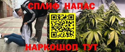 эйфоретик Моздок