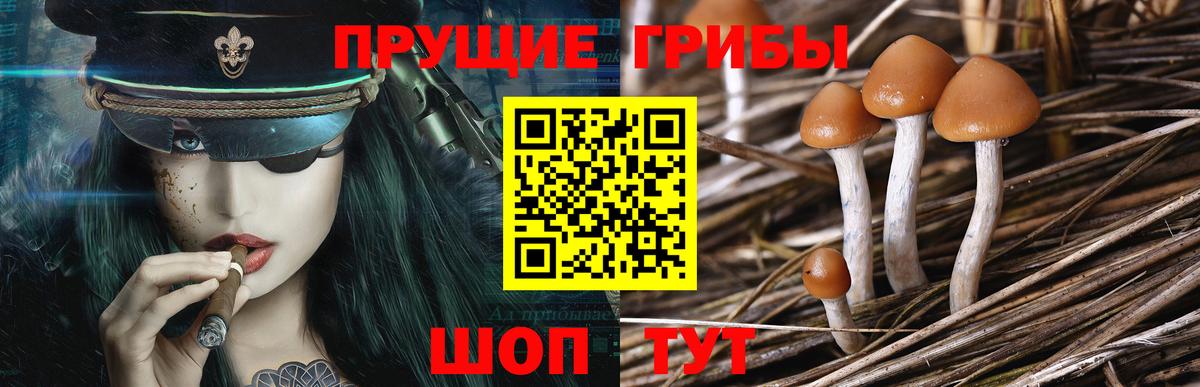 цены наркотик  Вход с VPN  Галлюциногенные грибы MAGIC MUSHROOMS  Бахчисарай  Галлюциногенные грибы GOLDEN TEACHER 
